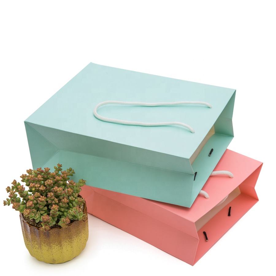 Custom Paper Shopping Bag – Style 003