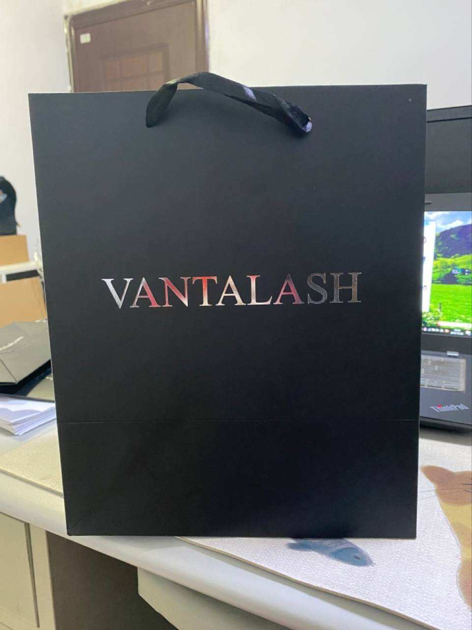 Lionwrapack Printing Foldable White Kraft Paper Carrier Bag