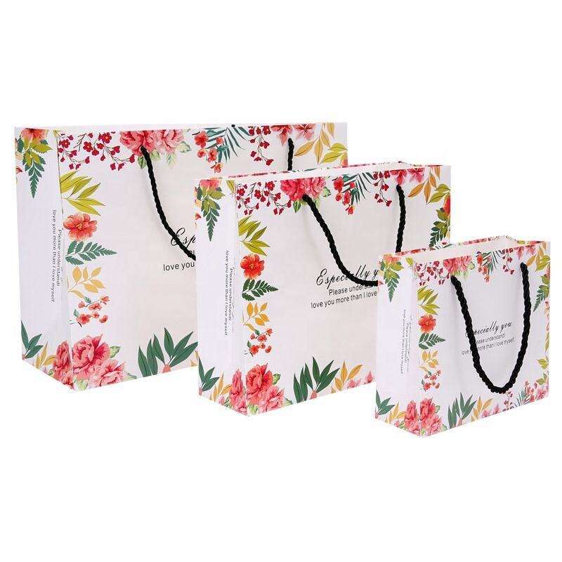 Lionwrapack shopping gift paper bag with handle