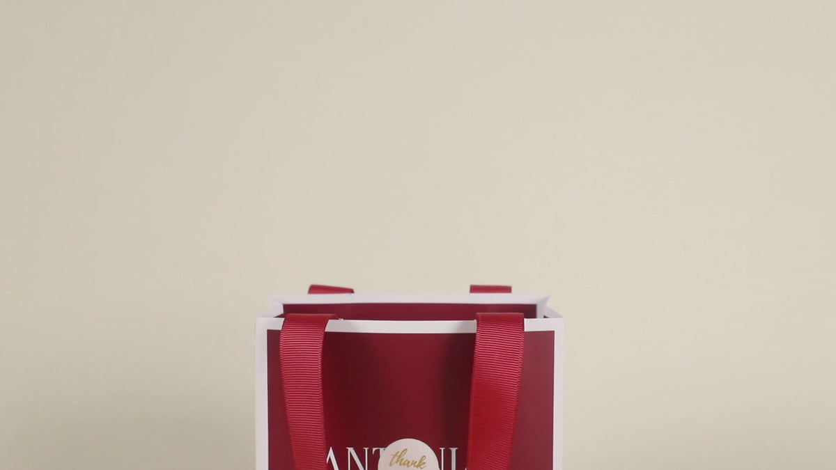 Red paper gift bag with ribbon handles