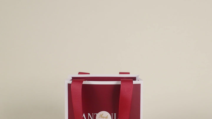 Red Paper Gift Bag with Ribbon Handles